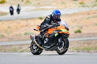 media/Apr-26-2025-2WTD (Sat) [[797c348bd3]]/C Group/240pm/